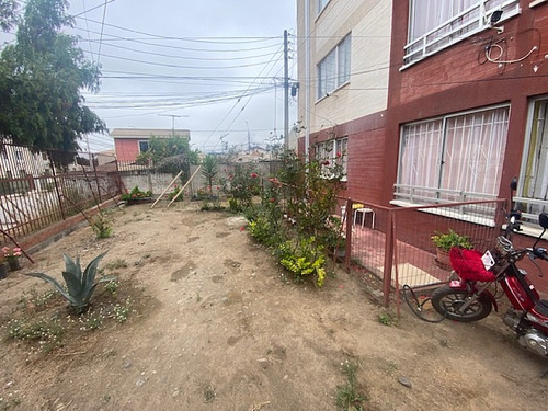 Quillota, A Pasos Av. Principal Alberdi