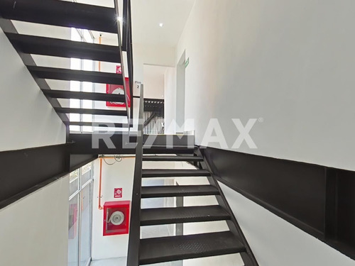 Local Comercial Renta San Jose Insurgentes