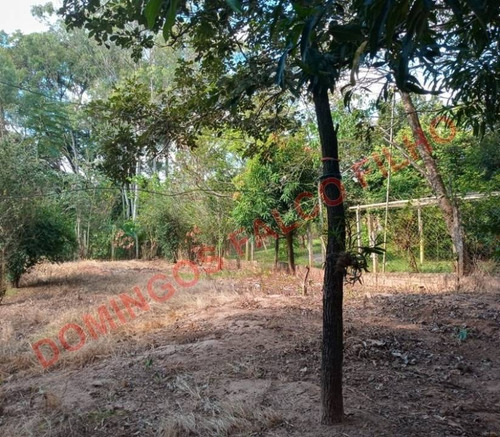 Imagem 5 de 14 de Venda - Chácara - Papirus - Limeira - Sp - D8196