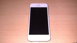 Celular iPhone 5 Impecable Blanco Menos De 1 Año De Uso