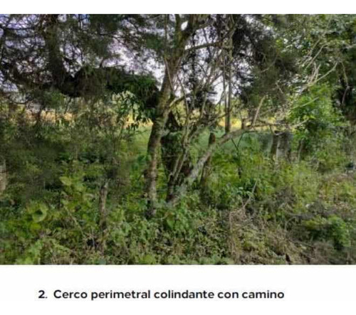 Terreno En Venta Aldea El Aguacate