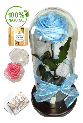 Rosa Preservada Natural Azul Claro + Luz Led + Obsequio | Envío gratis