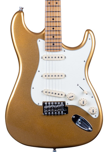 Guitarra Eléctrica Jet Guitars Js300 Roasted Maple