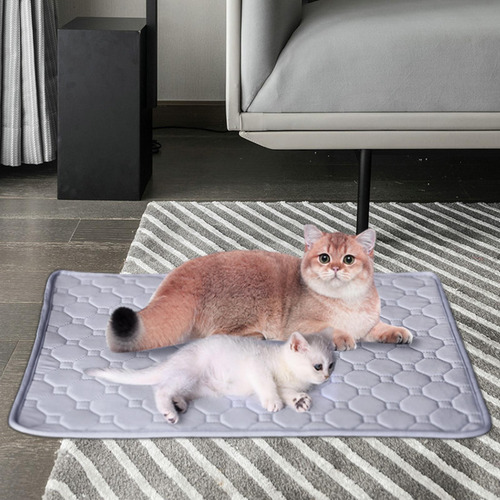 Colchón Para Cama De Dormir Base Antideslizante 40cmx50cm