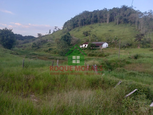 Imagem 7 de 29 de Sítio À Venda No Vale Do Ribeira Sp Medindo 30 Alqueires Paulista Ref 0990
