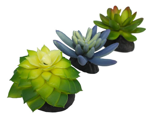 Komodo Terrario De Reptiles Suculento 3pk Plantas Azules/ver