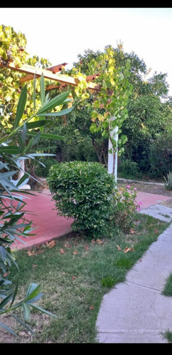 Local Comercial En Venta En Talca
