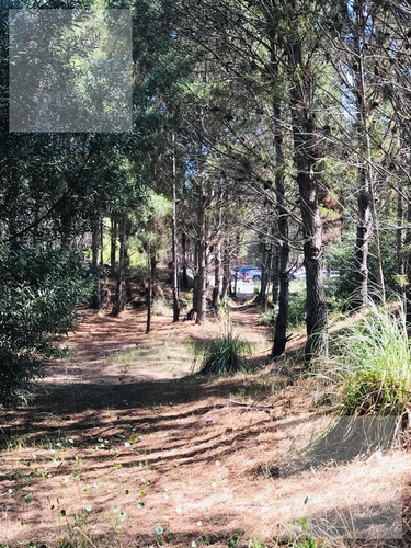 Imagen 5 de 30 de Lote En Venta Costa Esmeralda Deportiva