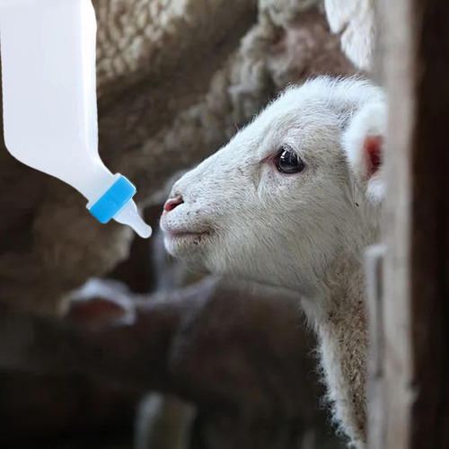 . Mamadeiras De Cabra Para Alimentação De Cabras Mamadeira