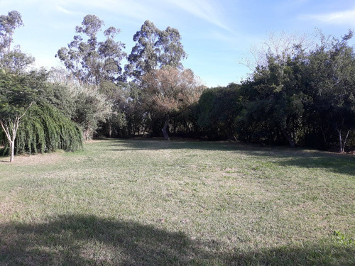 Chacra Ecológica De 4 Hectáreas Con 2 Casas, Arroyo Y Parque