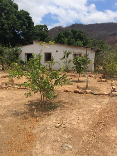 Imagen 1 de 14 de Casa En Venta Con Amplio Terreno 2000m2 Zona Tacal Cumana