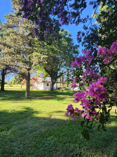 Venta 7 Hectareas Con Costa De Arroyo Casco De Estancia