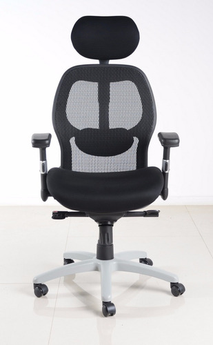 Cadeira Executiva Presidente E-chair Ergonomica Mesh Sw-2026