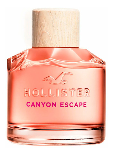 Perfume Dama Eau De Parfum Hollister Canyon Escape 100ml