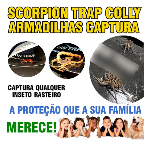 Armadilha Adesiva Para Escorpião Colly Scorpion Trap 3 Und
