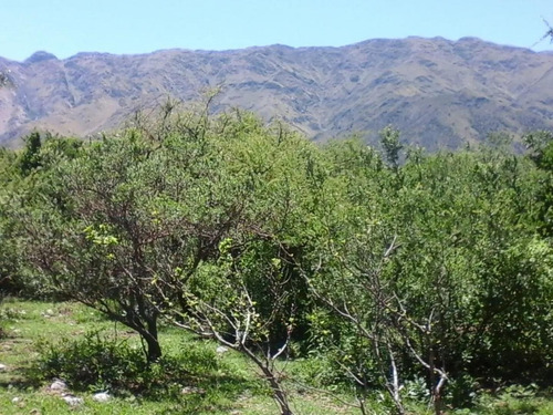 Imagen 3 de 12 de Lotes Fascinantes, En Un Lugar Privado !!!