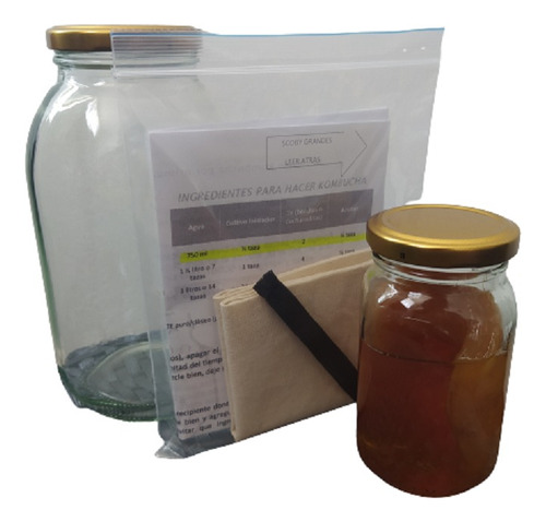 Kit Para Kombucha Megakit  Con Scoby - L a $48900