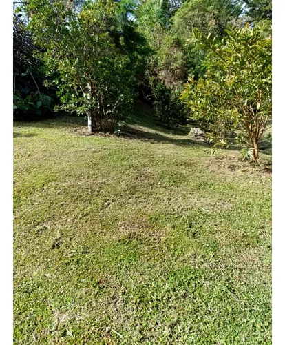 Lote Sector Las Cuchillas, Rionegro
