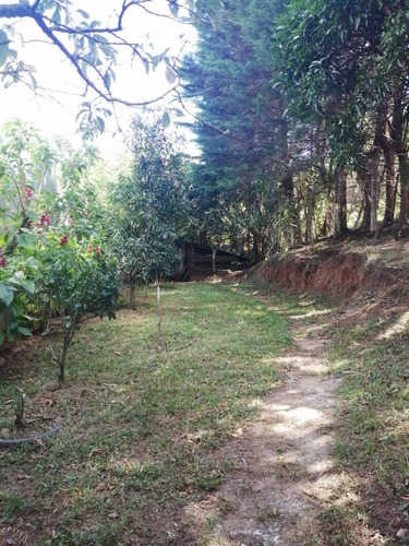 Imagen 3 de 14 de Urge Vender Propiedad Con Casa Grande De Dos Pisos