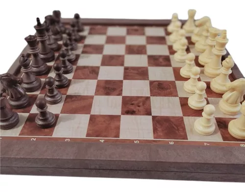 jogo 2 em 1 xadrez / gamao imantado com tabuleiro de plastico 19X19cm 32  pecas - RIO DE OURO - Jogo de Dominó, Dama e Xadrez - Magazine Luiza