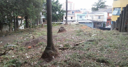 Imagem 2 de 3 de Terreno À Venda, 912 M² Por R$ 1.560.000,00 - Vila Prudente (zona Leste) - São Paulo/sp - Te0135