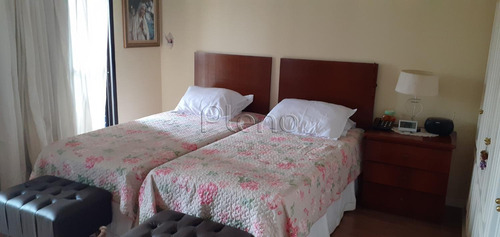 Imagem 19 de 30 de Apartamento À Venda Em Jardim Proença - Ap017093