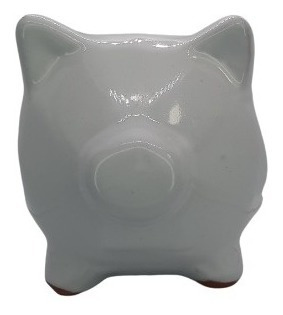 Macetas Puerco Geometrico Minimalista Suculenta Mini Maceta
