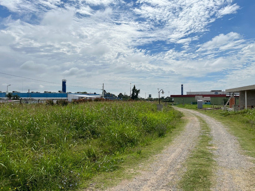 Imagen 5 de 12 de Lotes En El Cauquen Barrio Privado