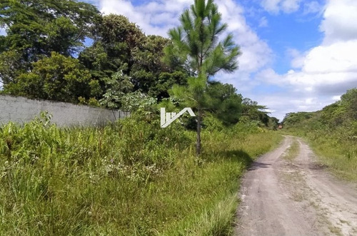 Imagem 6 de 8 de Chácara No São Fernando, Em Itanhaém