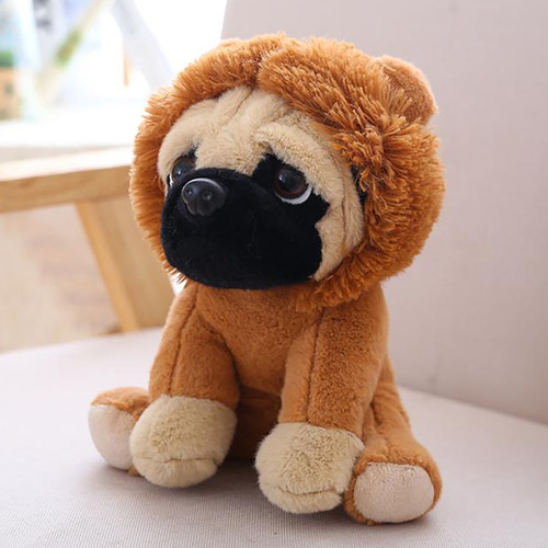 Perro Pug con piel de león - Pug Leãozinho Buba