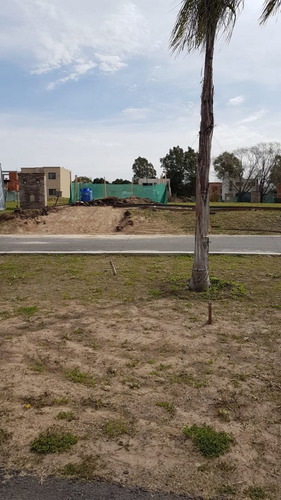 Imagen 7 de 14 de Terreno En Venta En Sourigues