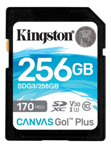 Memoria Sd 256gb Canvas Go