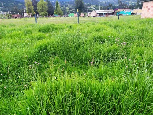 Vende Lote Ubaté - Cundinamarca