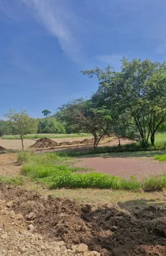 Venta De Lotes En Agua De Dios Con Escrituras