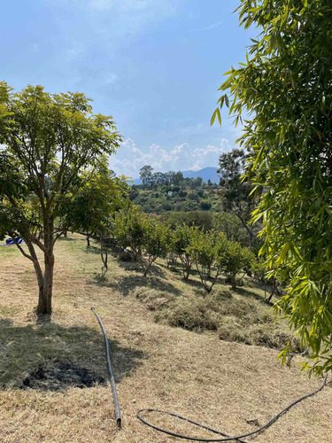 Imagen 7 de 13 de Lotes Campestres De 1000 Mts En Zumpahuacan