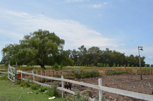 Imagen 10 de 24 de Venta De Campo De 2 Hectáreas En Guernica