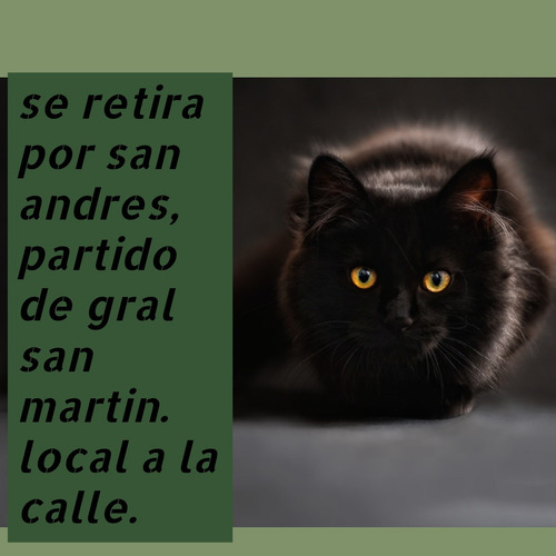Bolsa De Algodon Estampada Con Bolsillo Amo A Mi Gato