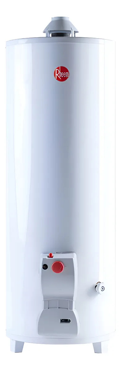 Rheem FUNCTIONAL TPG120GNRH Termotanque multigas Color blanco 120L