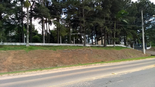Imagem 7 de 8 de Galpao - Linha Anta - Ref: 29897 - V-29895
