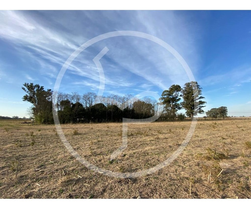 Imagen 7 de 9 de Campo 25 Has Venta Ranchos General Paz