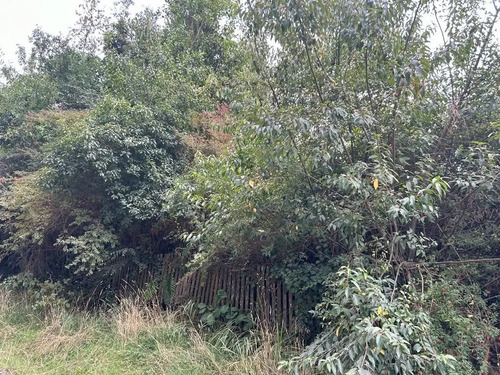 Sitio En Venta En Frutillar