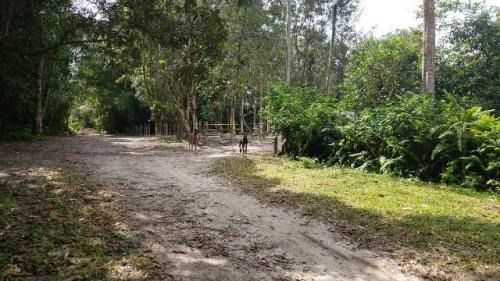 Imagem 9 de 14 de Chácara No Jd. São Fernando Em Itanhaém ,confira!! 8528