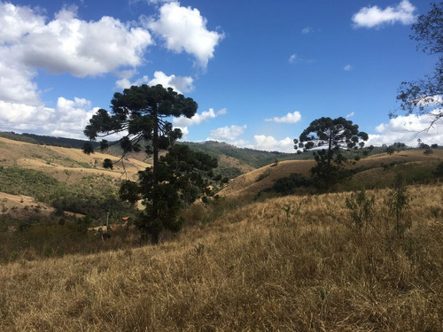 Imagem 16 de 24 de Chácara À Venda, 2800 M² Por R$ 80.000 - Zona Rural - Caldas/mg - Ch0126