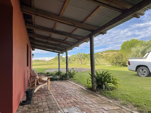 Venta De Campo De 156 Hectareas En Garzon