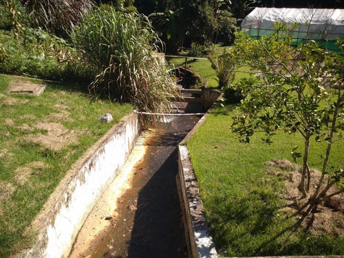 Imagem 9 de 30 de Sítio À Venda Em Juquitiba - 423 - 33815443