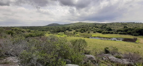 Campo En Ruta 60, Calera Del Rey