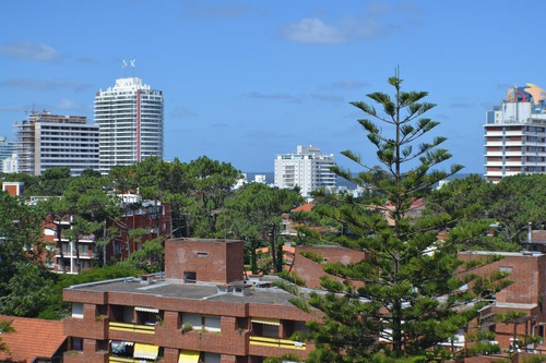 Imagen 7 de 15 de Apartamento En Venta De 3 Dormitorios En La Pastora (ref: Lij-1552)