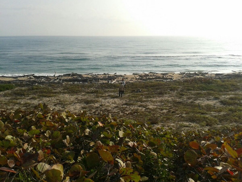 Terreno Con Playa Y Laguna