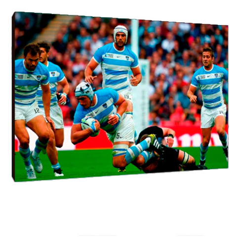 Cuadros Poster Deportes Rugby Pumas S 15x20 (pms (18))