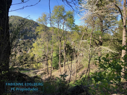 Imagen 20 de 30 de Terreno Apto Desarrollo Lote Centro 6686 M2 - San Martin De Los Andes
